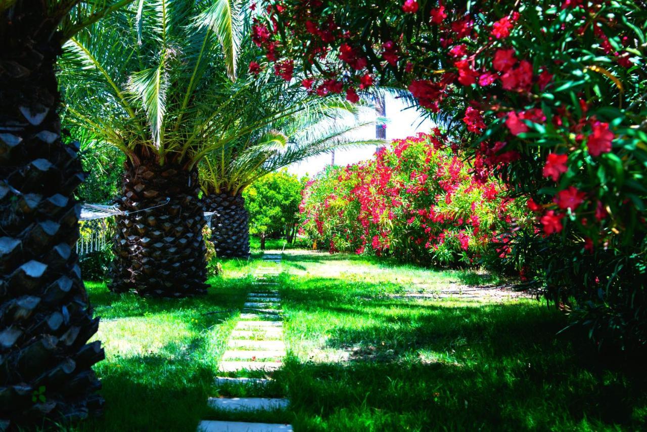 Ancient Meropia - Les Jardins Des Muses Apolonía Kültér fotó